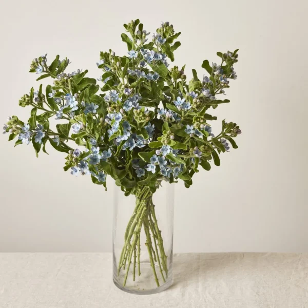 משלוחי פרחים