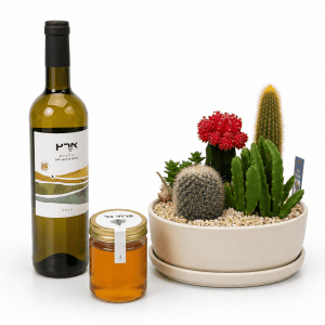 🌿 מארז ברכת הטבע
