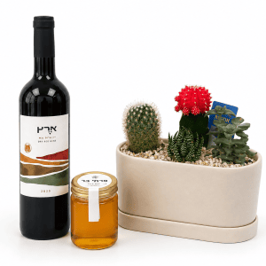 🌿 מארז שורשי ברכה