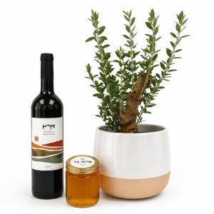 🌿 מארז שורשים של שפע