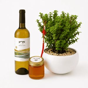 🌿 מארז שפע של ברכה