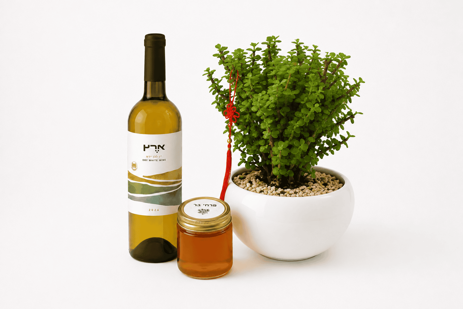 🌿 מארז שפע של ברכה – תמונה 2
