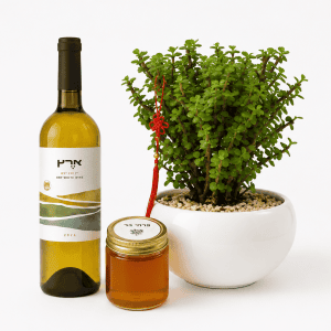 🌿 מארז שפע של ברכה