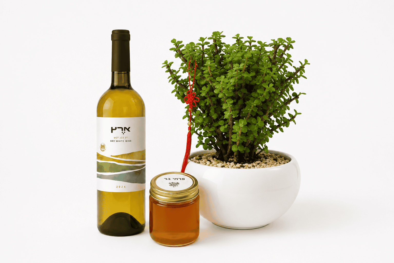 🌿 מארז שפע של ברכה